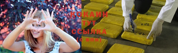 гашик Нея
