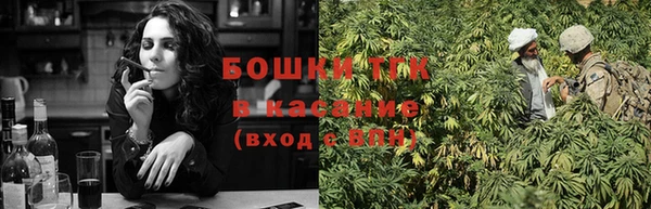 гашик Нея