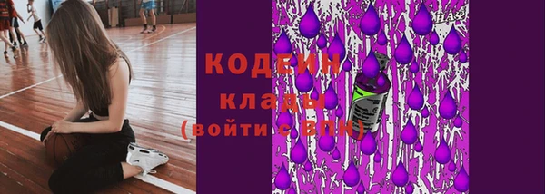 гашик Нея