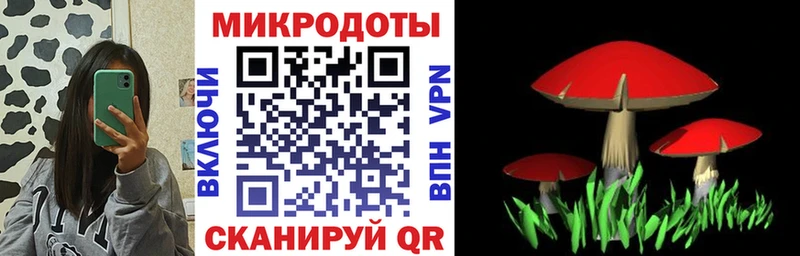 Псилоцибиновые грибы GOLDEN TEACHER  наркотики  Вытегра 