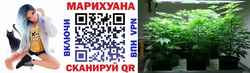 darknet какой сайт  Вытегра  Каннабис Bruce Banner 